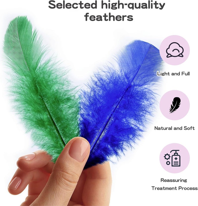 Flying feathers 500 قطعة - ريش دجاج ملون 3-5 بوصة ريش بالجملة للحرف اليدوية وإمدادات صيد الأحلام (500 قطعة) - Image 4